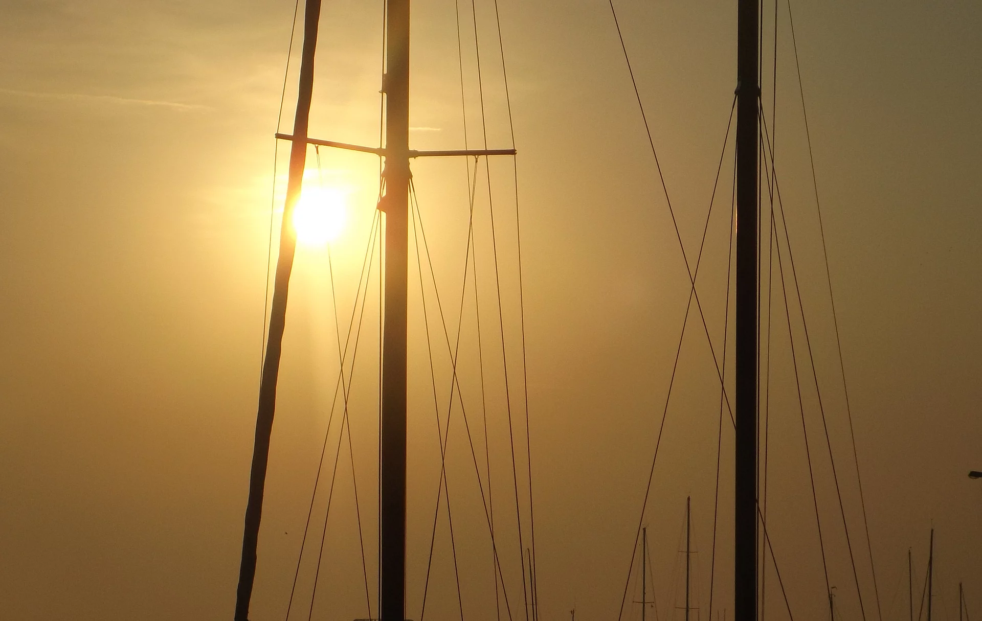Segelmasten im Sonnenuntergang