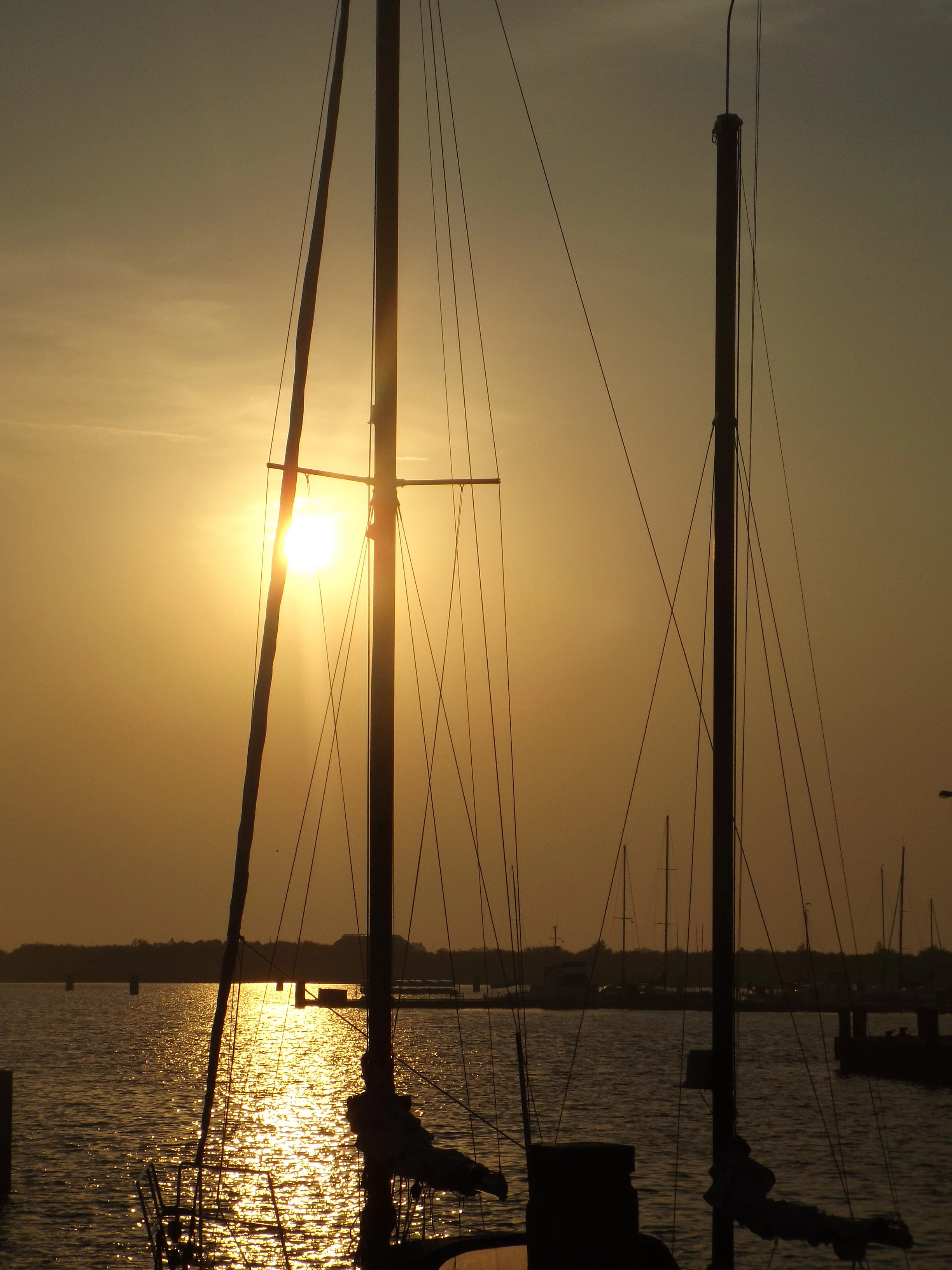 Segelmasten im Sonnenuntergang
